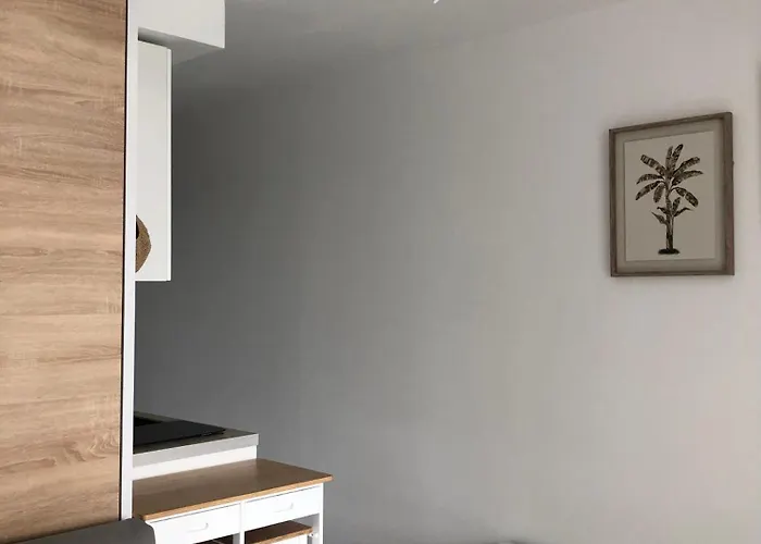 Cosy + Parking Prive * 카발레르쉬르메르